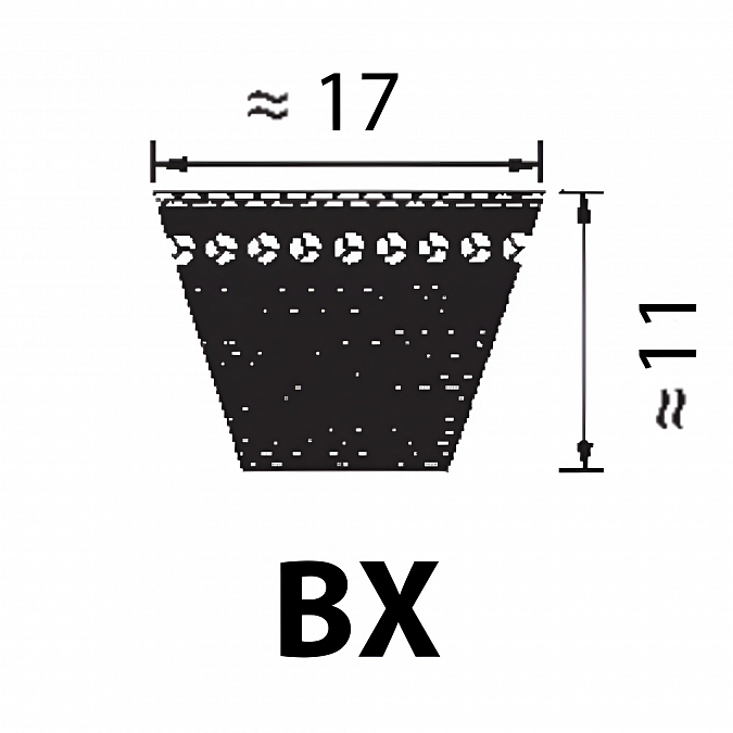 BX 54