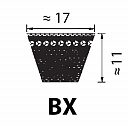 BX 35