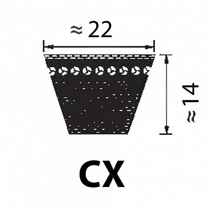 CX 54 